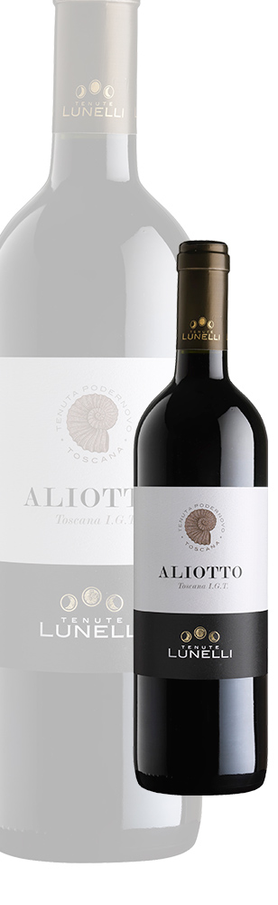 aliotto